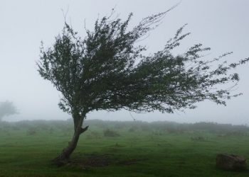 Συστάσεις  προς τους πολίτες για την προστασία από θυελλώδεις  ανέμους