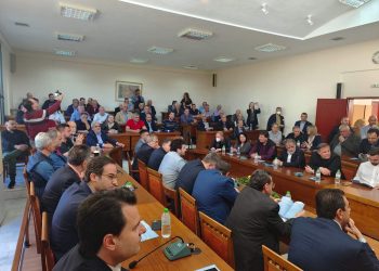 Μεγάλη επιτυχία η εκδήλωση της ΔΕΕΠ για τα αγροτικά