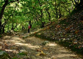 Νεκρός σε μονοπάτι των Μετεώρων βρέθηκε 35χρονος
