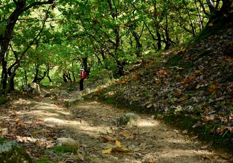 Νεκρός σε μονοπάτι των Μετεώρων βρέθηκε 35χρονος