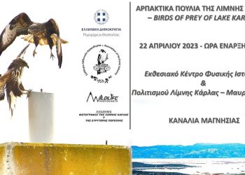 Εκδήλωση για τα αρπακτικά πουλιά της  λίμνης Κάρλας