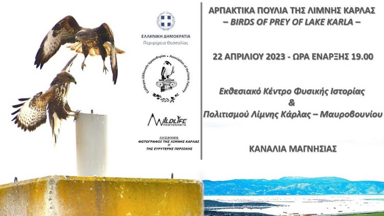 Εκδήλωση για τα αρπακτικά πουλιά της  λίμνης Κάρλας