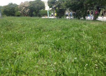 Χρ. Σταμόπουλος: Ο Δήμος Φαρκαδόνας σε διάλυση (άφησαν άκοπα τα χορτάρια στο Δημοτικό Σχολείο Ταξιαρχών!)