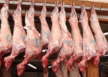 Το φθηνό αρνί είναι σε βάρος της ποιότητας…
