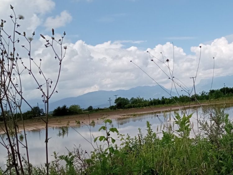 Παρουσία Χρ. Μιχαλάκη ξεκίνησε η καταγραφή των ζημιών