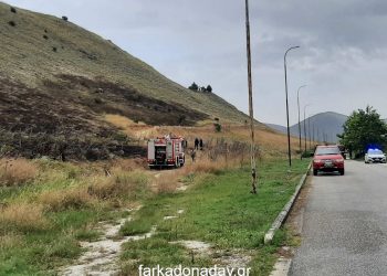 ΦΩΤΟΓΡΑΦΙΕΣ: Αποφεύχθηκαν τα χειρότερα από την πυρκαγιά  στην Φαρκαδόνα