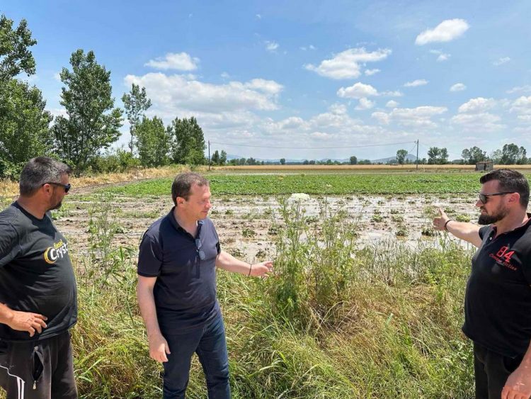 Άμεση κινητοποίηση ΛΙΟΥΤΑ για στήριξη στους πληγέντες παραγωγούς μας από τη σφοδρή νεροποντή