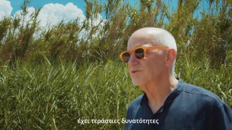 Γιώργος Παπανδρέου: Με πορτοκαλί γυαλιά ηλίου… στις καλαμιές – Το νέο σποτ για τις εκλογές