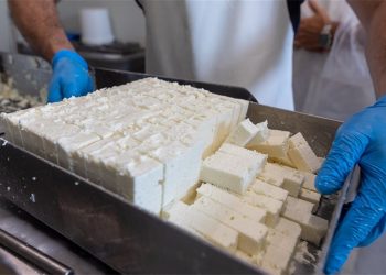Ζητούνται άτομα για εργασία σε εταιρεία παραγωγής τυροκομικών προϊόντων