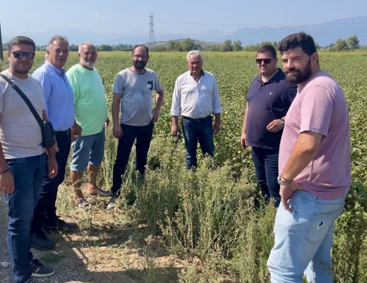 Χρ. Μιχαλάκης: Άμεση κινητοποίηση για την στήριξη αγροτών και κτηνοτρόφων που υπέστησαν ζημιές