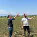 Aυτοψία στις μεγάλες καταστροφές