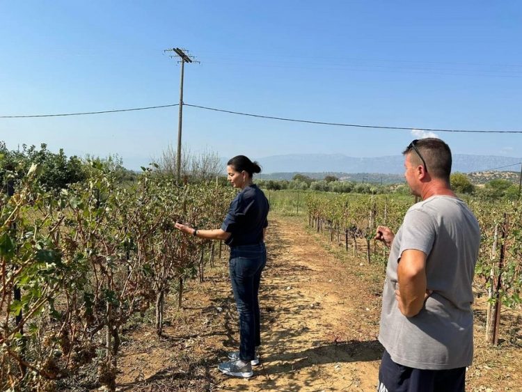 Aυτοψία στις μεγάλες καταστροφές