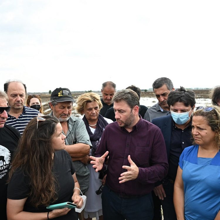 Ανδρουλάκης: Task force για την ανασυγκρότηση της Θεσσαλίας και την αξιοποίηση πόρων