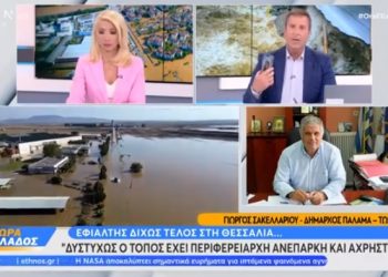 Δήμαρχος Παλαμά: Δεν έχω το παραμικρό μερίδιο ευθύνης (BINTEO)
