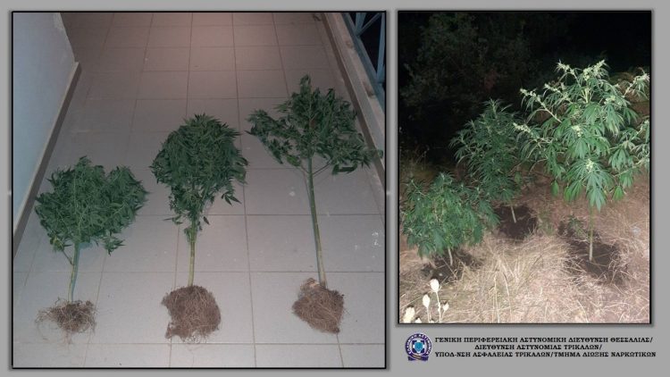 Δώδεκα συλλήψεις για ναρκωτικά το τελευταίο πενθήμερο στη Θεσσαλία