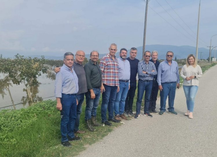 Αισιοδοξία επιστημόνων για τη γονιμότητα των εδαφών