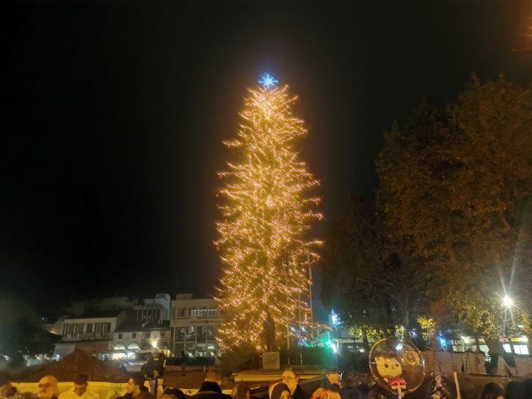 Φωταγωγήθηκε το υψηλότερο φυσικό χριστουγεννιάτικο δέντρο της Ελλάδας στα Τρίκαλα
