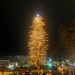 Φωταγωγήθηκε το υψηλότερο φυσικό χριστουγεννιάτικο δέντρο της Ελλάδας στα Τρίκαλα