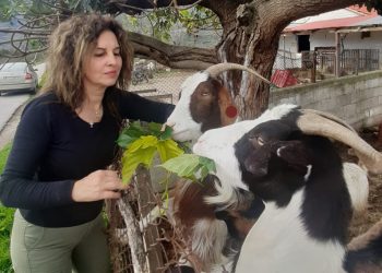 Νικολέτα Τζιωρτζιώτη: Ο «αστακός του βουνού» απειλείται με εγκατάλειψη