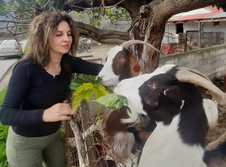 Νικολέτα Τζιωρτζιώτη: Ο «αστακός του βουνού» απειλείται με εγκατάλειψη