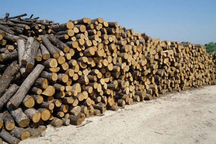 Καυσόξυλα: «Ζεστάθηκαν» οι παραγγελίες με τα πρώτα κρύα