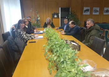 Συνάντηση της Αντιπεριφερειάρχη Χρύσας Ντιντή με τον Δήμαρχο Πύλης