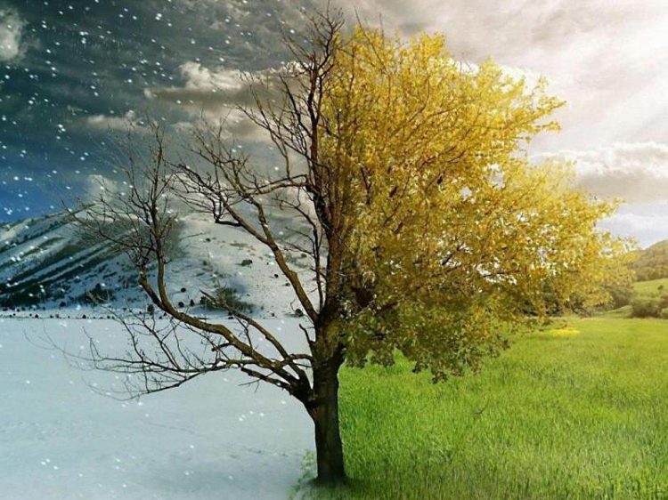 Κλιματική αλλαγή: Οι 4 εποχές γίνονται… δύο; – Οι πιο θερμοί μήνες και οι προβλέψεις για το επόμενο διάστημα