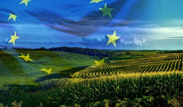 Διαδικτυακή έρευνα της Ευρωπαϊκής Επιτροπής για την απλούστευση των κανόνων της ΚΑΠ