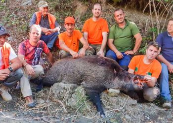 Κάπρος «μαμούθ» 260 κιλών που «έσπασε» τη ζυγαριά!
