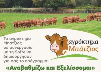 «Αναβαθμίζω και Εξελίσσομαι»