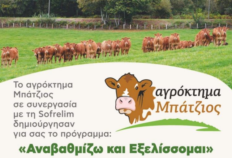 «Αναβαθμίζω και Εξελίσσομαι»