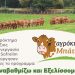 «Αναβαθμίζω και Εξελίσσομαι»