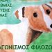 2η θέση σε Πανελλήνιο μαθητικό διαγωνισμό φιλοζωίας για το 6ο Δημοτικό Σχολείο Τρικάλων!