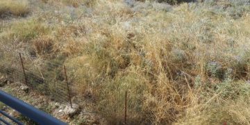 Πυροπροστασία ακινήτων – Ακαθάριστα οικόπεδα: Λήγει σήμερα η προθεσμία – Τι πρέπει να γνωρίζουν οι ιδιοκτήτες