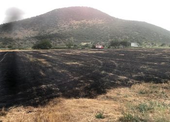 Φωτιά σε καλαμιές δίπλα στην Κρήνη