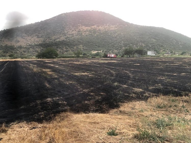 Φωτιά σε καλαμιές δίπλα στην Κρήνη