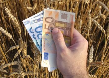 Σημαντικές αδυναμίες διαπιστώθηκαν στον ΟΠΕΚΕΠΕ