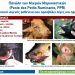 Νέα ενημέρωση της Διεύθυνσης Κτηνιατρικής για την εμφάνιση εστίας πανώλους αιγοπροβάτων στην Π.Ε. Τρικάλων