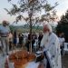 Πανηγύρισε το  ξωκλήσι  του Προφήτη Ηλία στη Φαρκαδόνα