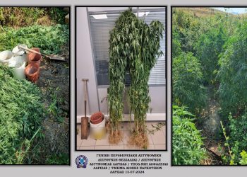Συλλήψεις 15 ατόμων στη Θεσσαλία για ναρκωτικά