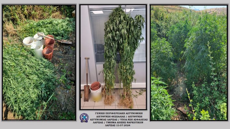 Συλλήψεις 15 ατόμων στη Θεσσαλία για ναρκωτικά