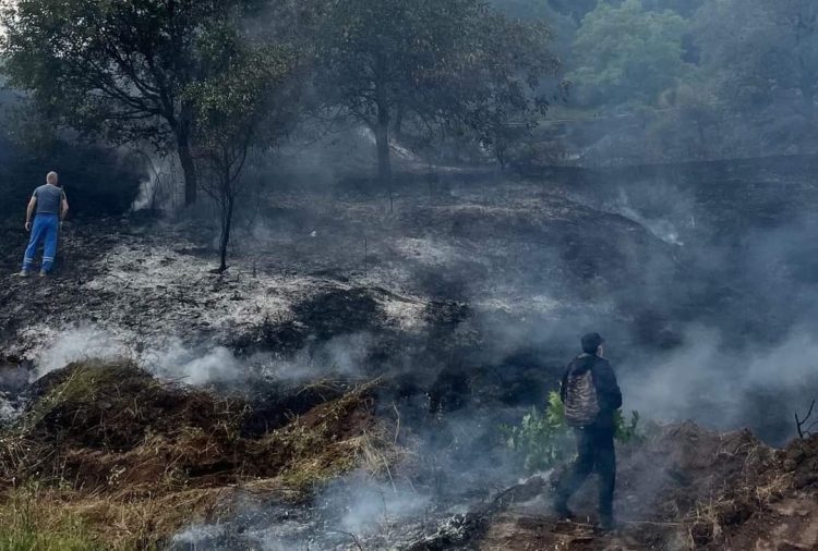 Φωτιά στην Παναγία Καλαμπάκας – Ήχησε το 112