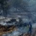 Φωτιά στην Παναγία Καλαμπάκας – Ήχησε το 112