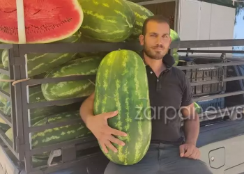 Καρπούζι-γίγας 28 κιλά έβγαλε αγρότης στο χωράφι του