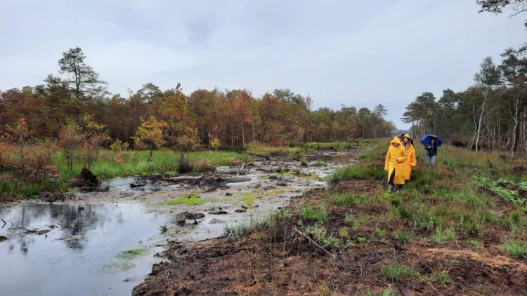 Σε μεγάλο ευρωπαϊκό έργο για Ληθαίο & Πηνειό ο Δήμος Τρικκαίων – Τι είναι τα «Μέτρα Σπόγγου»