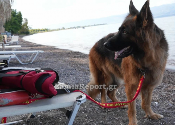 Σκύλος – ναυαγοσώστης έσωσε λουόμενο από πνιγμό στα Καμένα Βούρλα (βίντεο)