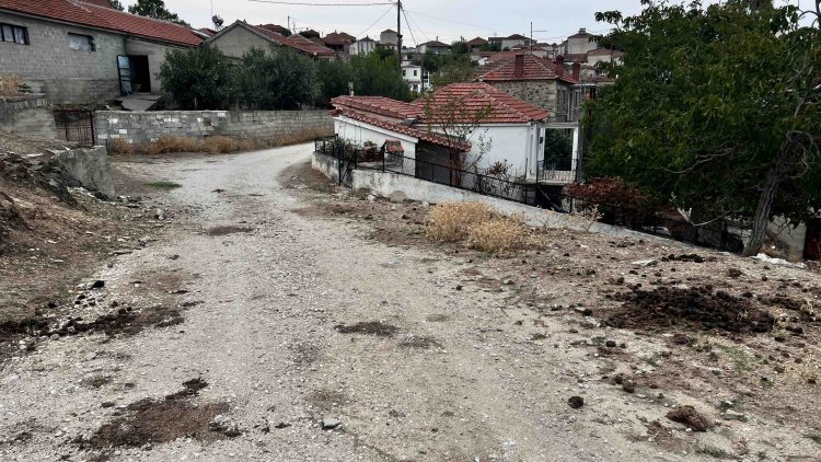 Αλέξανδρος Χριστοδούλου: Διάσελλο Φαρκαδόνας – Ένα χωριό σε παρακμή και εγκατάλειψη