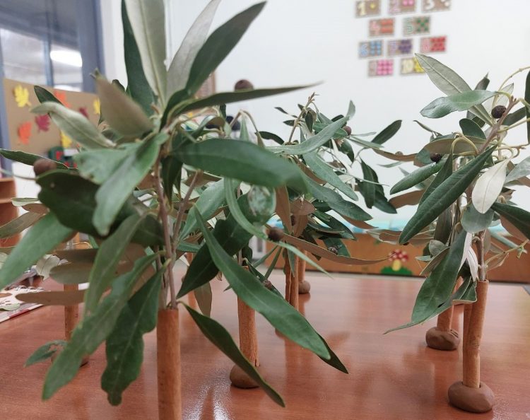 Η ελιά και τα καλούδια της στον Γ΄ Παιδικό Σταθμό Δήμου Τρικκαίων