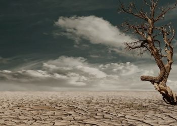 Ανθρωπιστική βοήθεια ενός δισ. δολαρίων για την Αφρική λόγω ξηρασίας, δίνουν οι ΗΠΑ