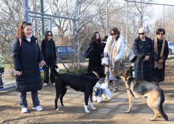 Λάρισα: Το πρώτο πάρκο ψυχαγωγίας σκύλων στη Θεσσαλία